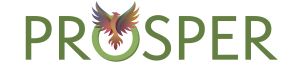 ProsperWex Logo with Phoenix Icon